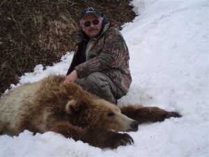 Alaska2008springbear 058